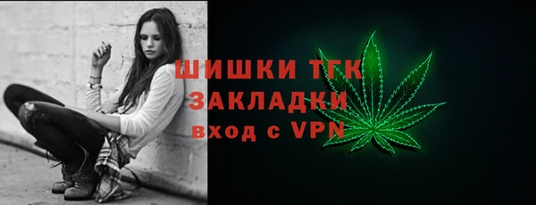 дмт Алзамай