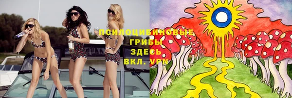 дмт Алзамай