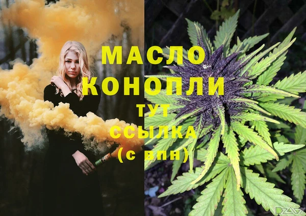 дмт Алзамай