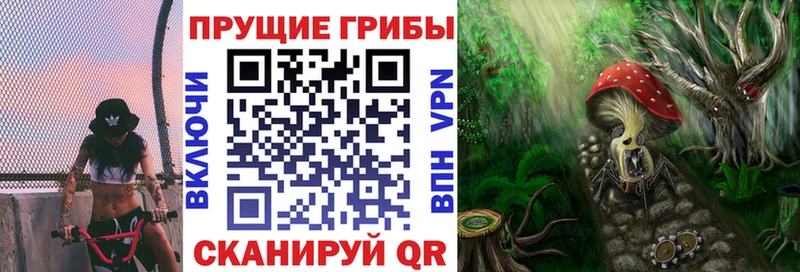 где найти   Углич  дарк нет клад  Псилоцибиновые грибы прущие грибы 