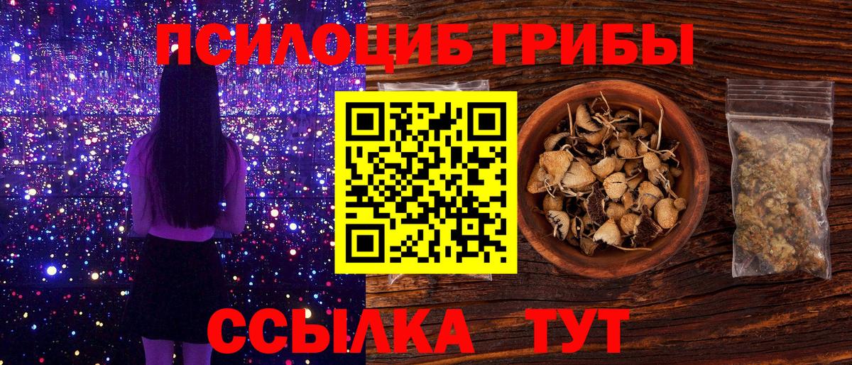 Псилоцибиновые грибы MAGIC MUSHROOMS Углич